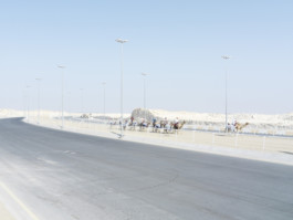 Gregor Schmidt – Fotografie