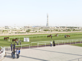 Gregor Schmidt – Fotografie