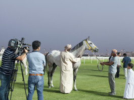 Gregor Schmidt – Fotografie