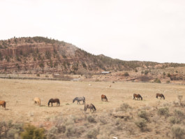 Gregor Schmidt – Fotografie
