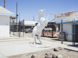 Gregor Schmidt – Fotografie