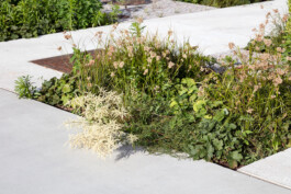 Gregor Schmidt – Fotografie