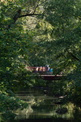 Gregor Schmidt – Fotografie